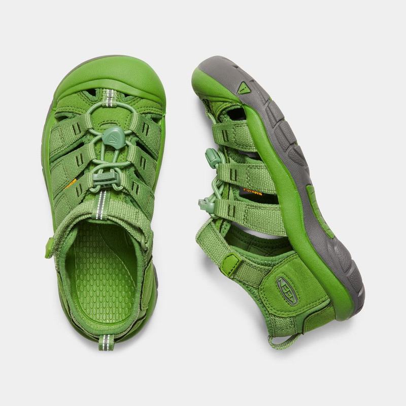 Keen Newport H2 Kids Sandals Green Online (0572-XHWDL)